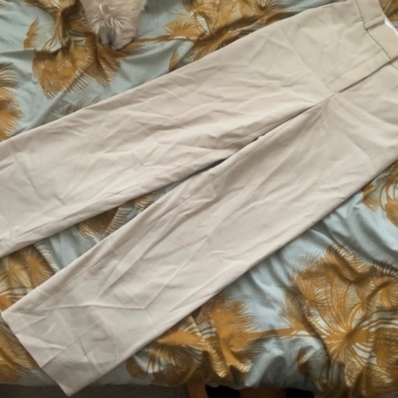 Babaton Agency pants matte pearl. - Picture 4 of 4